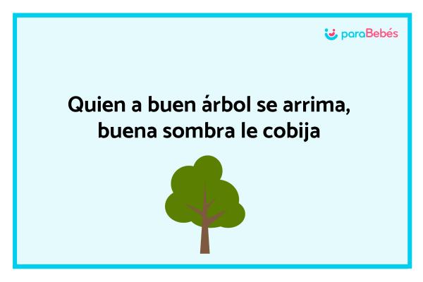 Frases curtas para crianças - Quem se inclina perto de uma boa árvore, a boa sombra o abriga