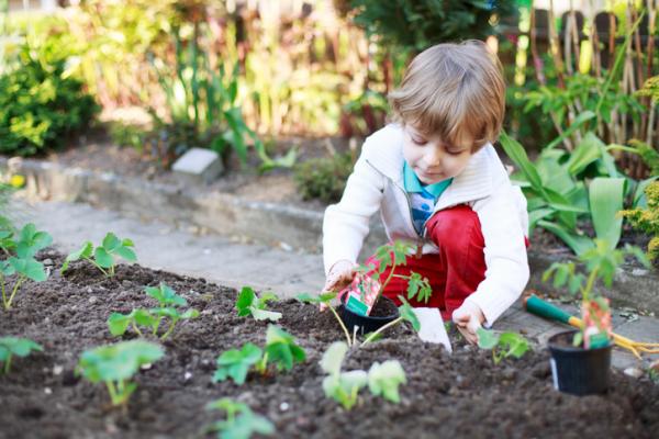 Atividades agrícolas para crianças do ensino primário - Semeando sementes