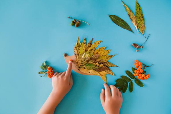 Jogos de natureza para crianças - Desenhamos com elementos naturais 