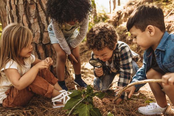 Jogos de natureza para crianças - O que os insetos fazem? 