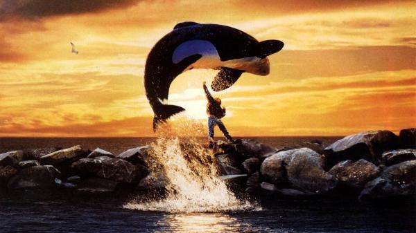 Filmes educativos para meninos e meninas - Free Willy